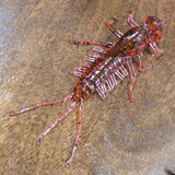 **NEW!** Custom 3" Mayfly