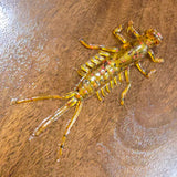 **NEW!** Custom 3" Mayfly